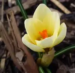P1020892.webp