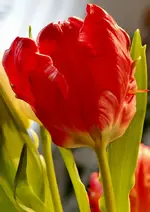 DSC04312.webp