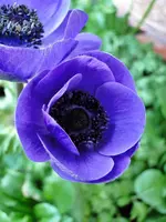 DSC04377.webp