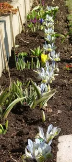DSCF0700.webp
