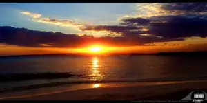 - Online 22.webp