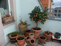 DSCF0481.webp