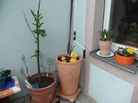 DSCF0482.webp