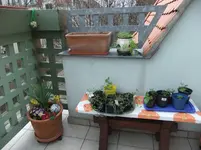 DSCF0483.webp