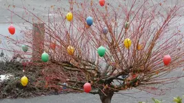 K800_ostervorbereitungen 006.webp