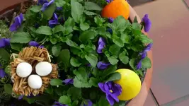 K800_ostervorbereitungen 004.webp