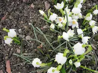 IMG_0468.webp