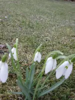 IMG_0470.webp