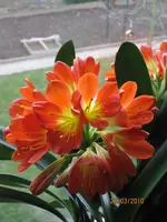 Bild 103.webp