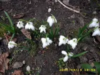 JD500651.webp