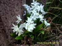 JD500655.webp