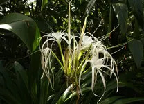 IMG_7803(1).webp