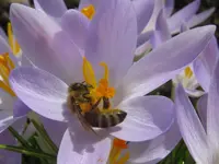 IMG_3100_800x600.webp