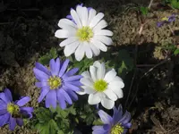 IMG_3103_1024x768.webp