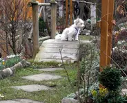 SDC10423-1.webp