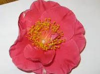 IMG_3106_1067x800.webp