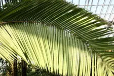 IMG_7657(1).webp