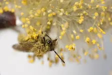 20100318161316.webp