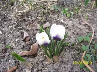 100_2321.webp
