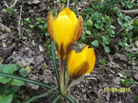 100_2323.webp