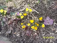 100_2324.webp