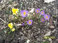 100_2325.webp