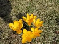 IMG_0492.webp