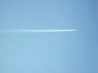 IMG_0501.webp
