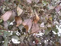 P1010016.webp