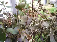 P1010017.webp