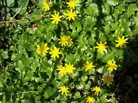 100_1202_800x600.webp