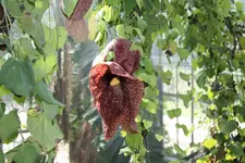 IMG_0406.webp