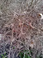 22032010045.webp