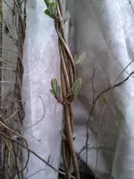 22032010044.webp