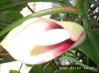 JD500667.webp