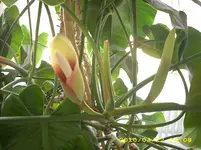JD500668.webp