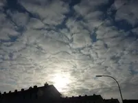 P1020896.webp