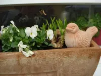 frühjahrsbl..webp