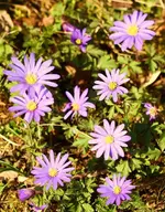 IMG_7859.webp