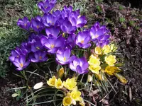 23-03.2010 004.webp