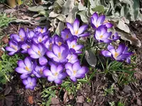 23-03.2010 005.webp
