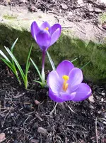 23-03.2010 014.webp