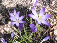 23-03.2010 016.webp