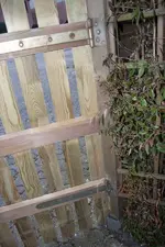 20100323190459.webp