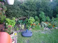 P1080166.webp