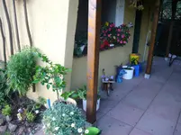 P1080168.webp