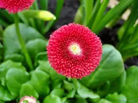 DSC04327.webp