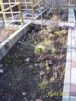 100_2331.webp