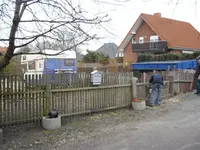 Tanne 004.webp