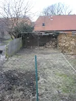 Tanne 013.webp